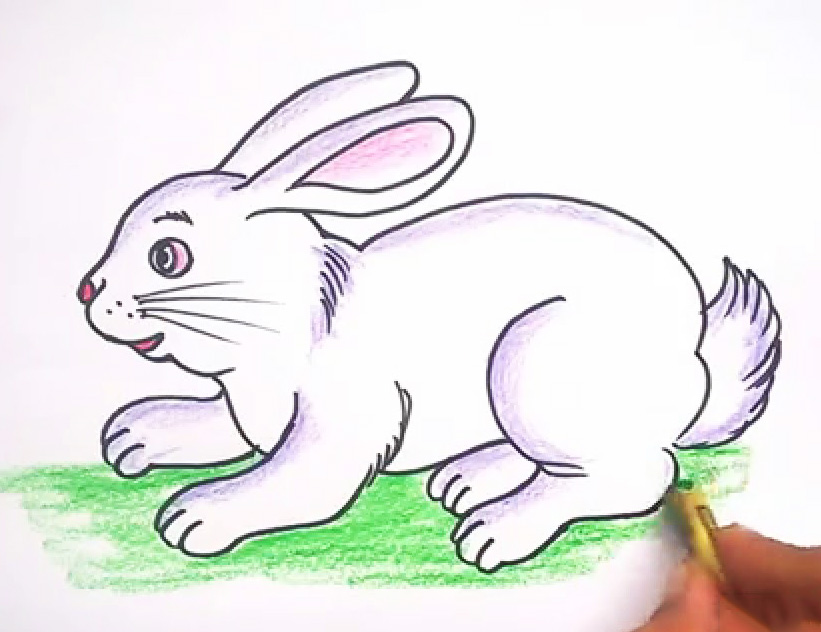 Download bộ tranh tô màu chủ đề con thỏ dễ thương