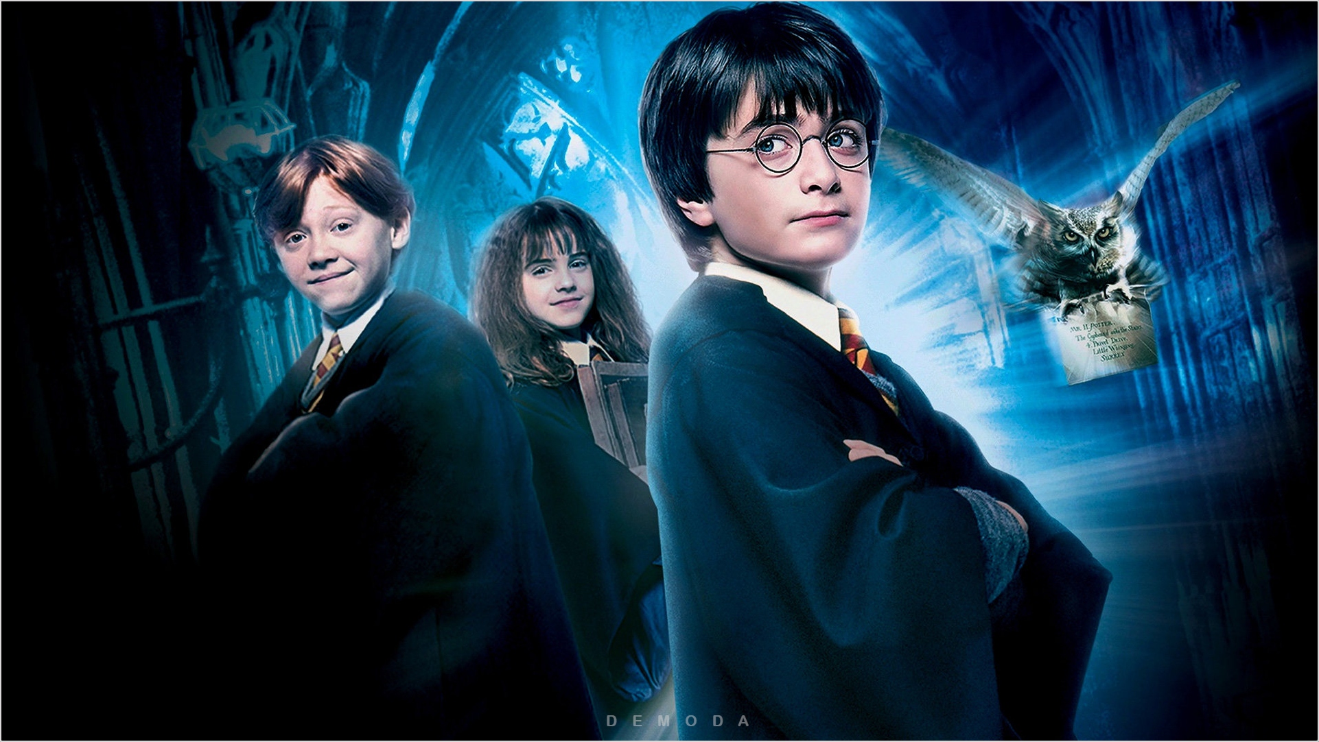50+ hình ảnh Harry Potter siêu đẹp cho fan nữ